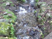 みつるさんのそば処 三分一の投稿写真1