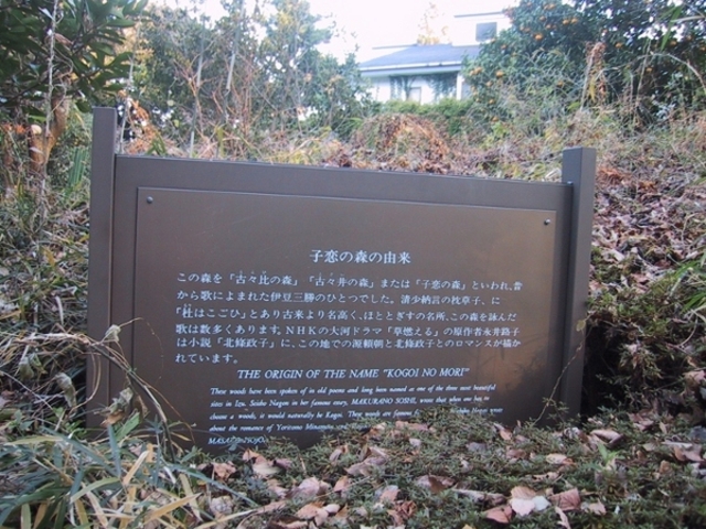 獅子次郎さんの伊豆山子恋の森公園の投稿写真1