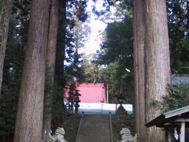 獅子次郎さんの須山浅間神社社叢の投稿写真1