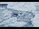 キミタロさんの流氷砕氷船 ガリンコ号Vへの投稿写真4