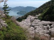 ユウクンさんの野呂山の投稿写真1