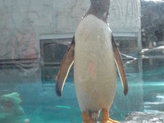 miyakaさんの旭山動物園への投稿写真1