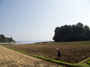 mkpaw319さんのボラ待ちやぐらの投稿写真1