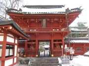 キジトラさんの中禅寺(立木観音)の投稿写真1