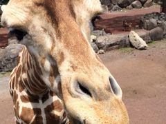 伊豆アニマルキングダムの写真1