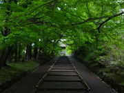 しどーさんの毘沙門堂の投稿写真1