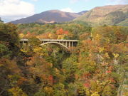 カズさんの鳴子峡の投稿写真1
