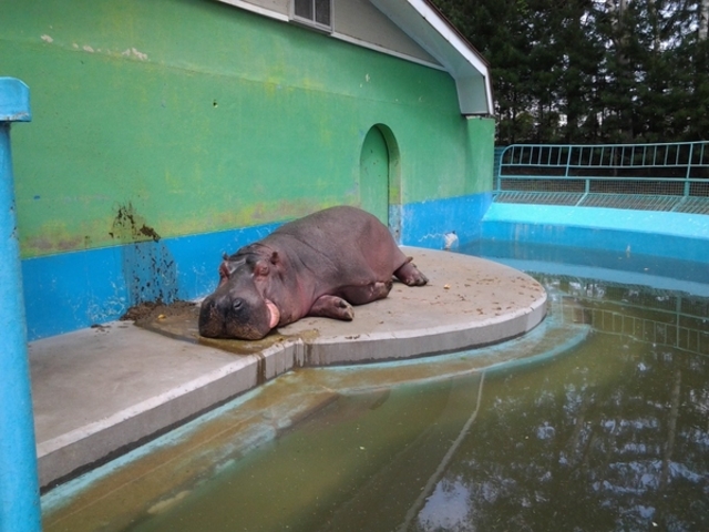 おびひろ動物園