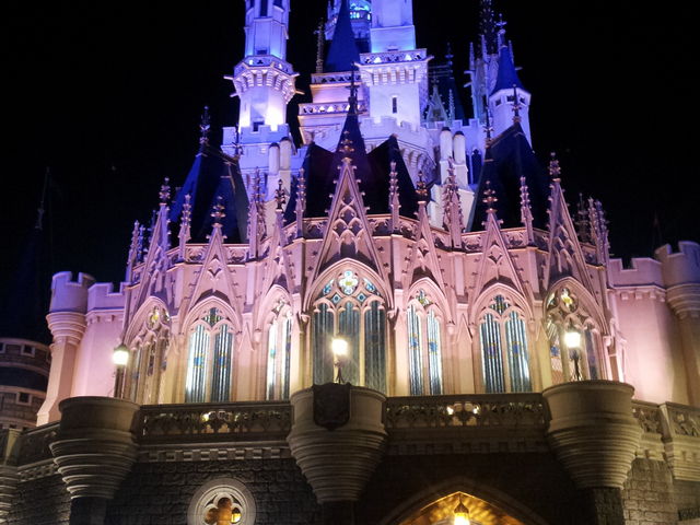 東京ディズニーランド(R)