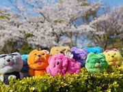 おーちゃんさんのあべのマーケットパーク キューズモールの投稿写真1