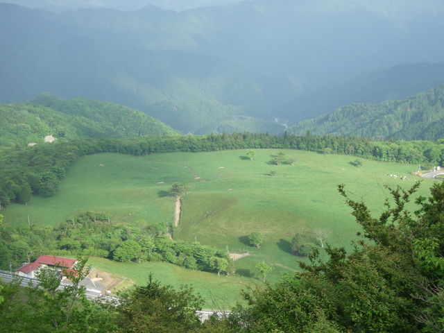 茶臼山の展望台から見た茶臼山高原風景(茶臼山高原牧場)_茶臼山高原