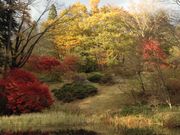 いずきんさんの日光植物園の投稿写真1