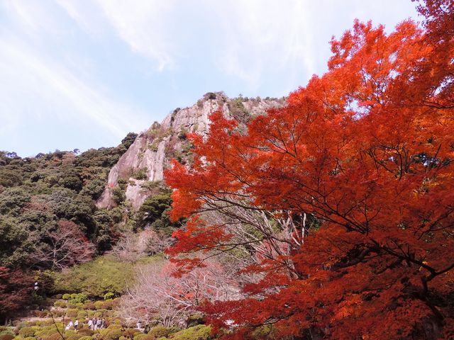 大もみじ1_御船山楽園