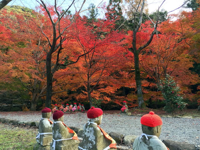 テツワンさんの大寧寺の投稿写真2