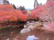 manekiさんの作礼山の投稿写真3