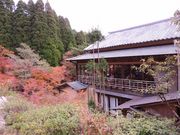 manekiさんの作礼山の投稿写真4