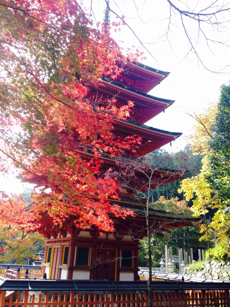 長谷寺