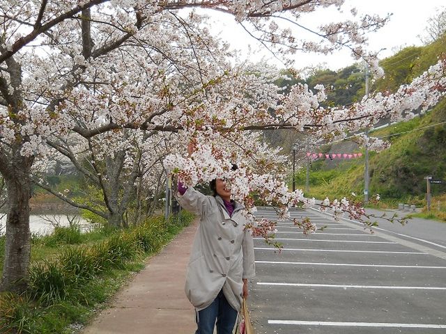 佐久間ダム湖親水公園