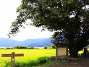 ルパン7777777さんの余呉湖の投稿写真3