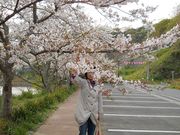 reinさんの佐久間ダム湖親水公園の投稿写真1