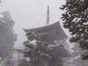 しどーさんの智恩寺多宝塔の投稿写真1