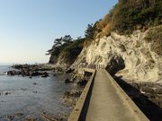 岳さんの荒崎公園の投稿写真2