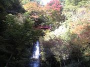 かんちゃんさんの五宝滝公園の投稿写真1