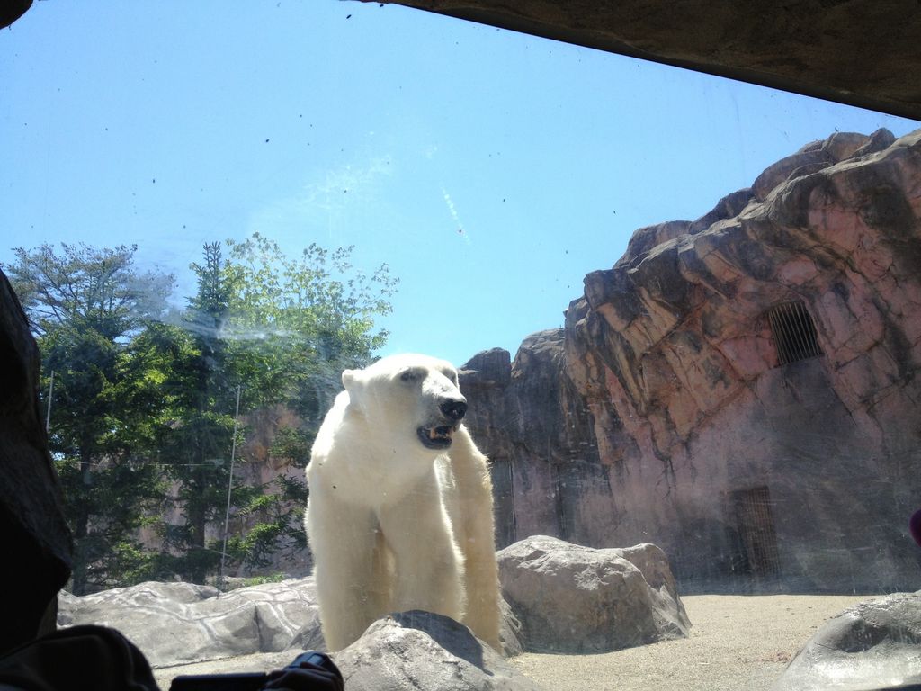 仙台市八木山動物公園