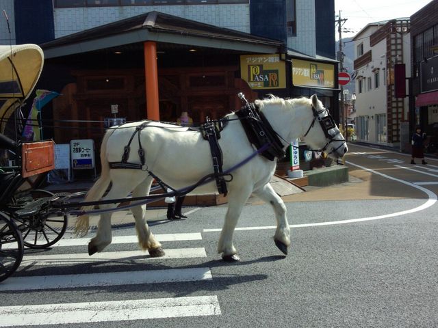 観光辻馬車
