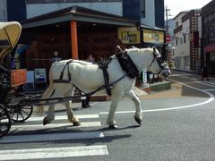 ヨッシーさんの観光辻馬車への投稿写真1
