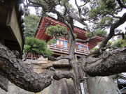 いわぴいさんの千光寺の投稿写真3