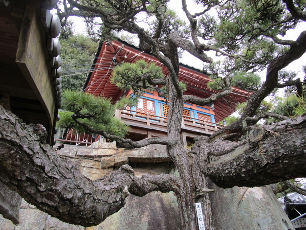 千光寺