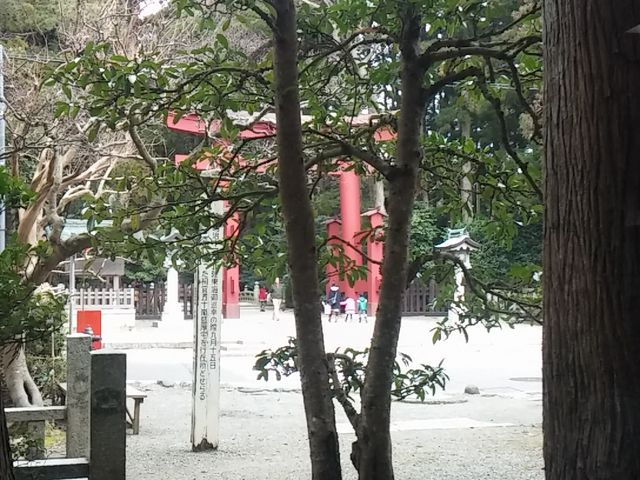店内より_旅館・お食事 清水屋