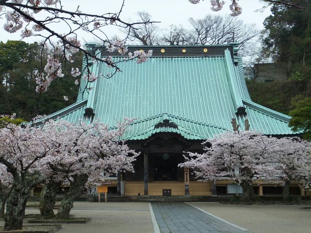 大本山光明寺