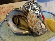 黄門ちゃまさんのかなわの投稿写真1