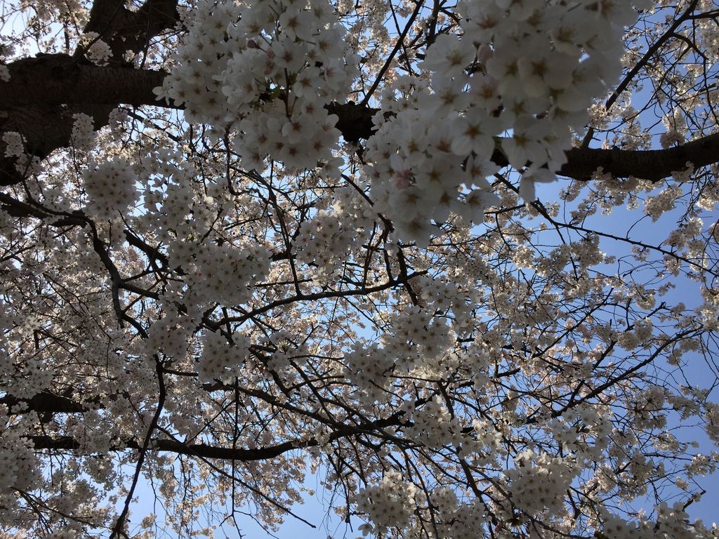 港の見える丘公園