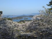 akiさんの西行戻しの松公園の投稿写真1