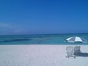 のらさんの泊ふ頭旅客ターミナルビル とまりんの投稿写真2