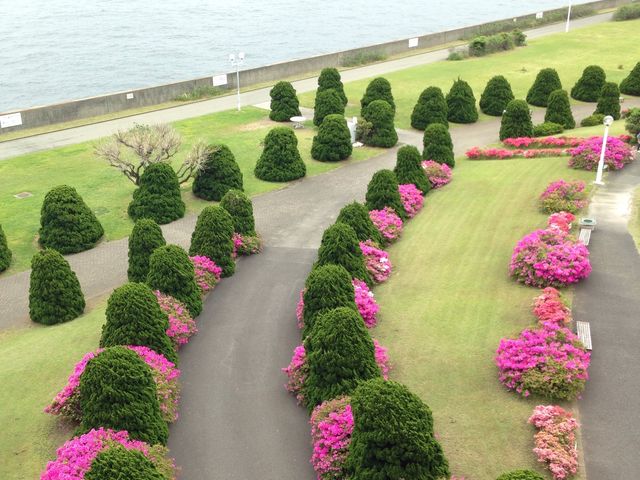 みるきーさんの横浜港シンボルタワーの投稿写真2