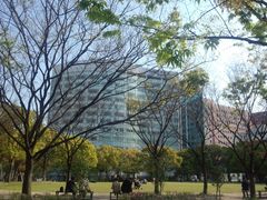 マービンさんの天神中央公園への投稿写真1