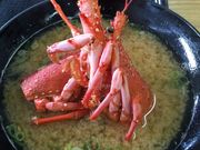 ラーメン&バイク好きさんの魚々味の投稿写真3