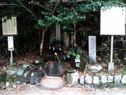 kingtutさんの玉作湯神社の投稿写真3