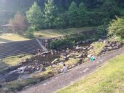 しづめさんのマウンテンストリーム岸本〔別所川渓流植物園〕の投稿写真1