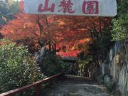 ヨッシーさんの山麓園の投稿写真1