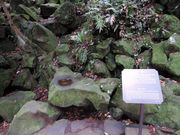 zinさんの笠山風穴の投稿写真1