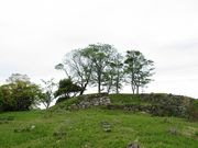 ざっきぃさんの利神城跡の投稿写真3