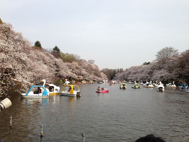 井の頭恩賜公園