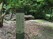 矢牛さんのささやきの小径(奈良公園内)の投稿写真2