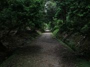 矢牛さんのささやきの小径(奈良公園内)の投稿写真3