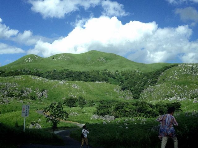 青と緑のコントラスト_平尾台